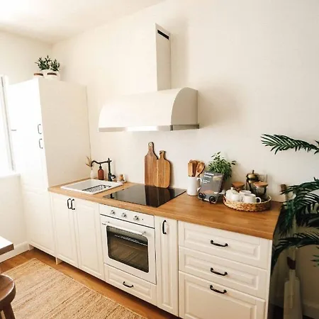 Seafront House - First Row To Sea Apartment Zadar
